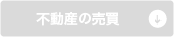 �s���Y�̔���