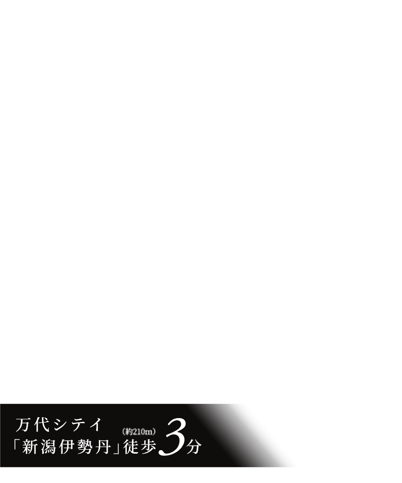 万代シテイ「新潟伊勢丹」徒歩3分
