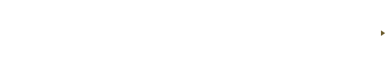 新潟市最大級※