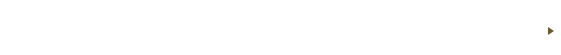 顔認証セキュリティサービス