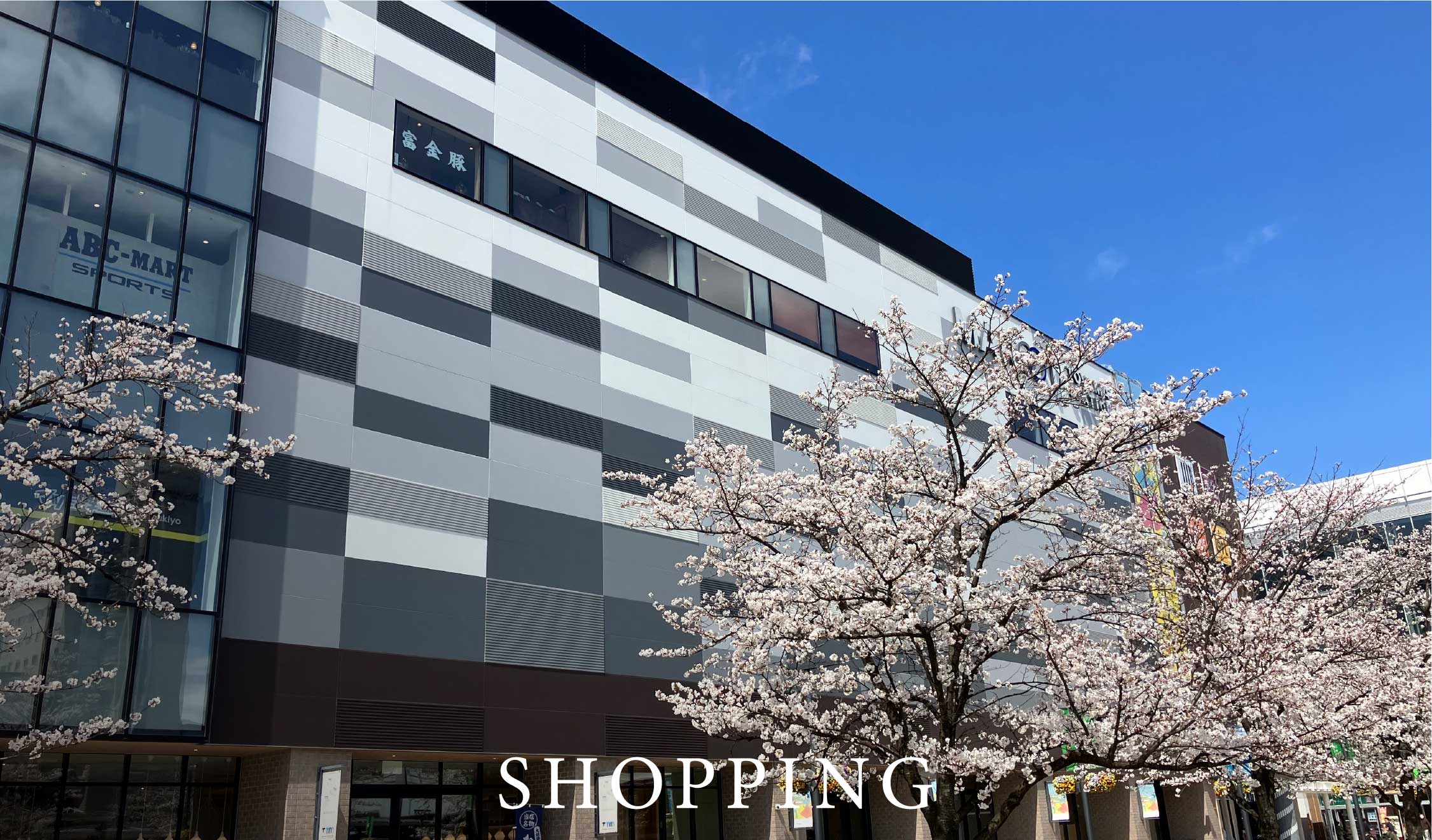SHOPPING