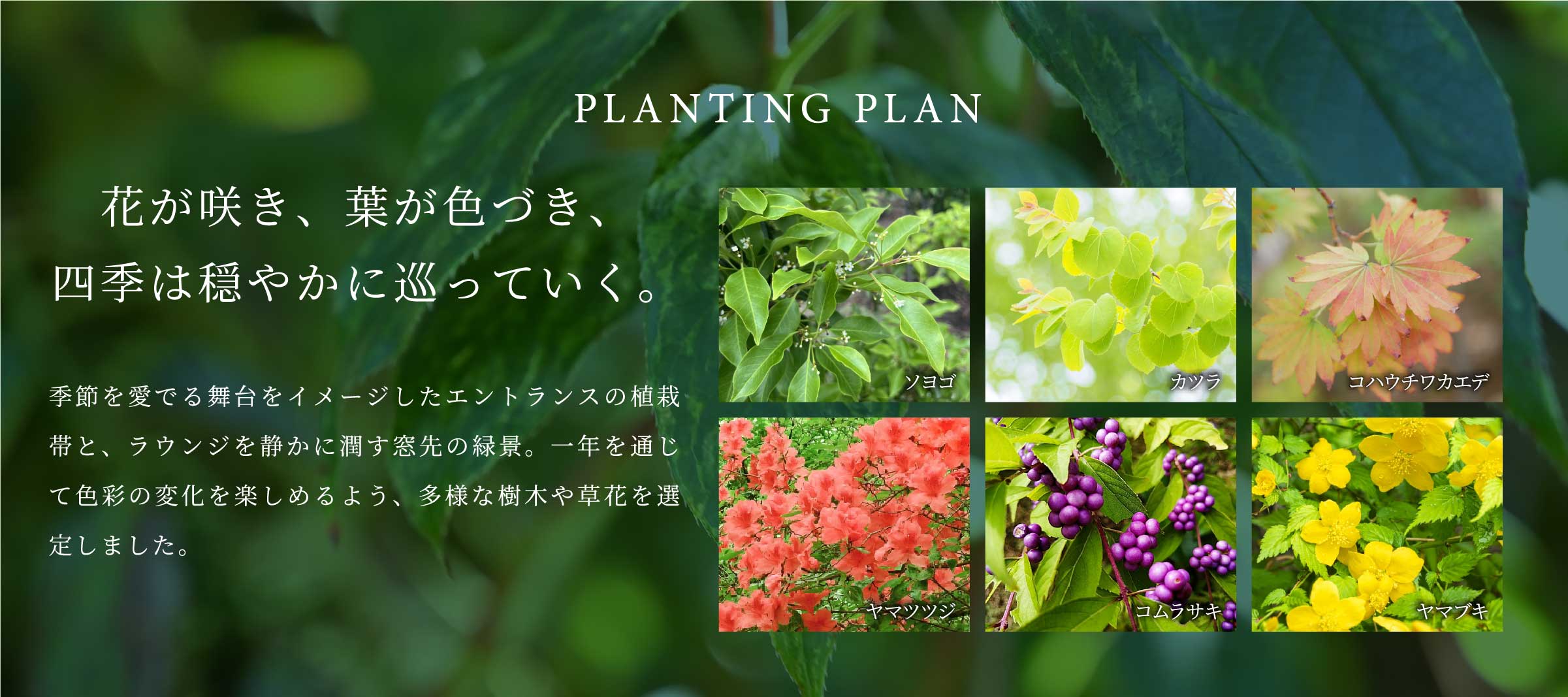 PLANTING PLAN 花が咲き、葉が色づき、四季は穏やかに巡っていく。