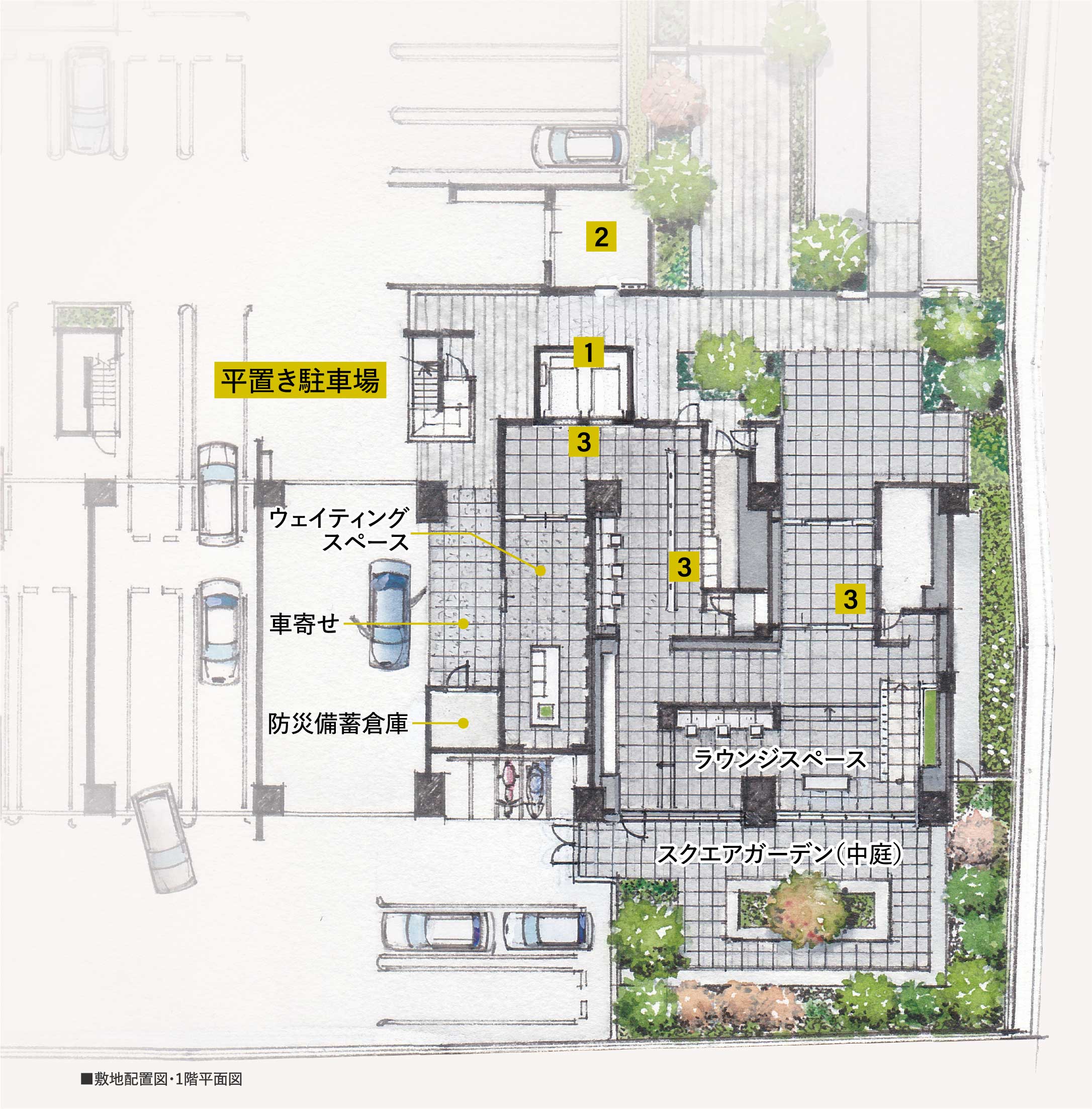 ■敷地配置図・1階平面図