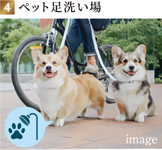 ペット足洗い場