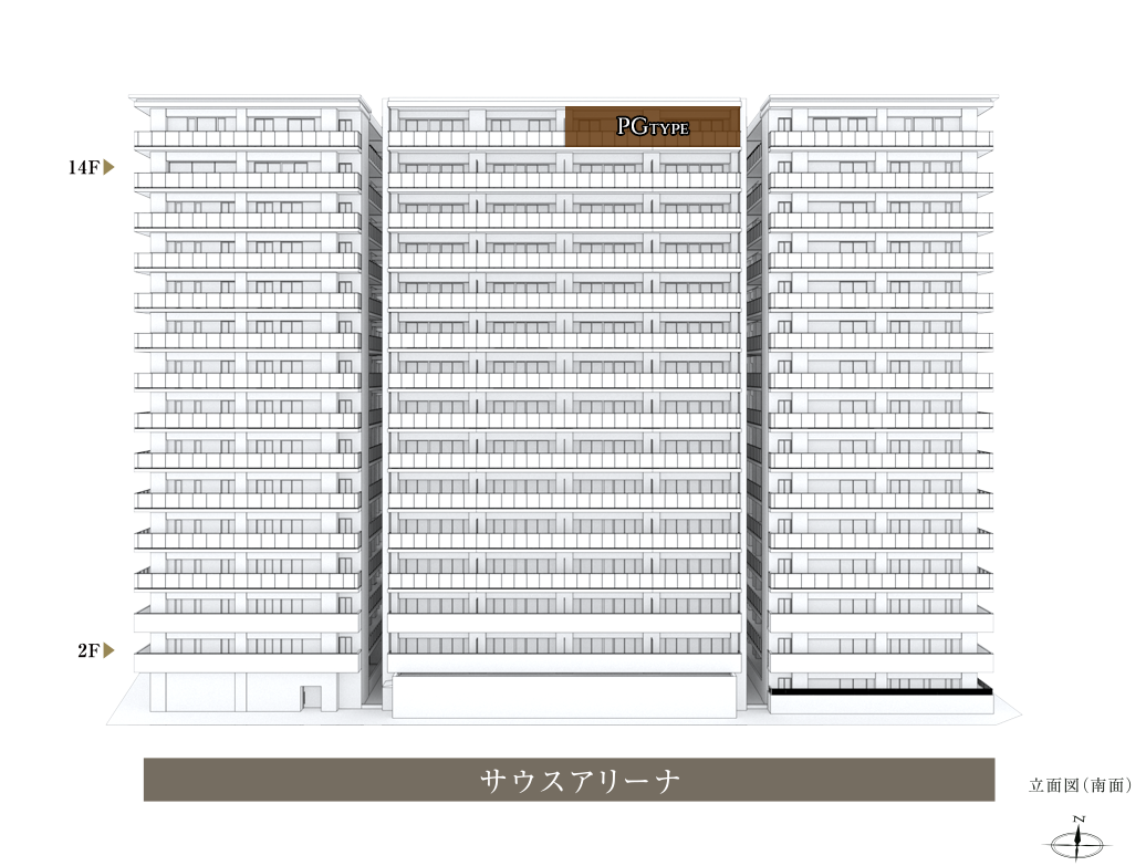立面図（南面）pgType