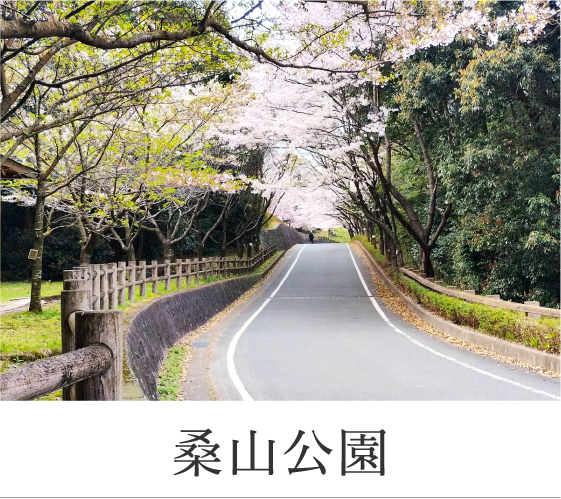 桑山公園