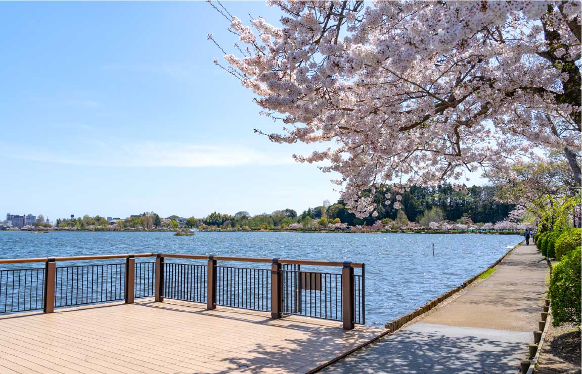 千波公園