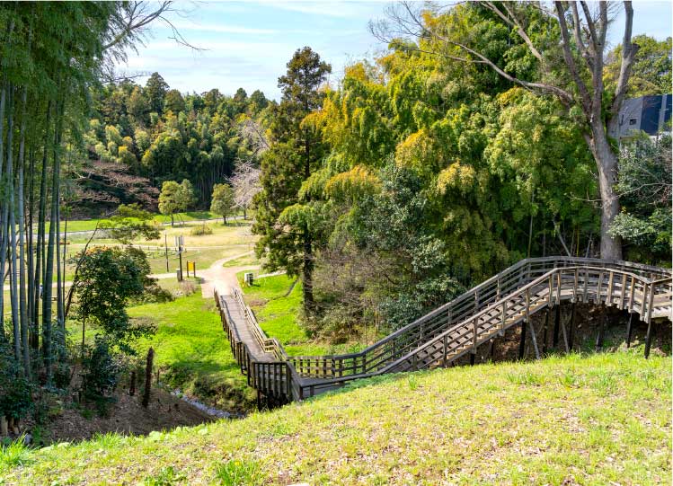 千波公園西の谷