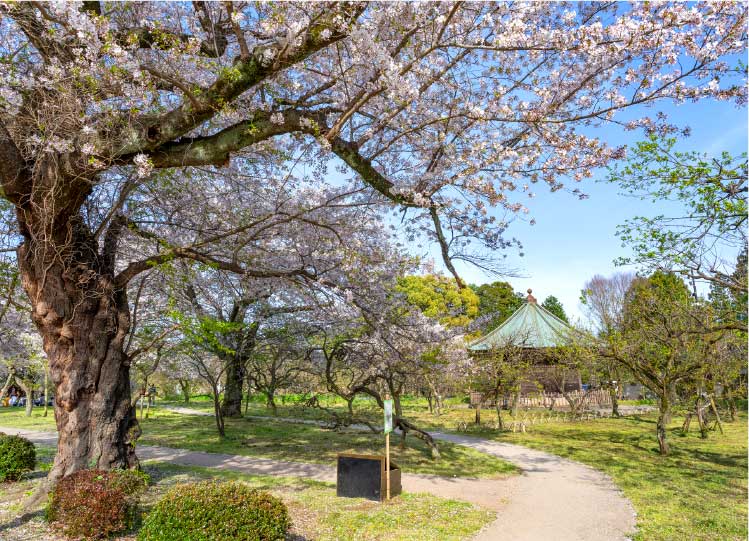 弘道館公園
