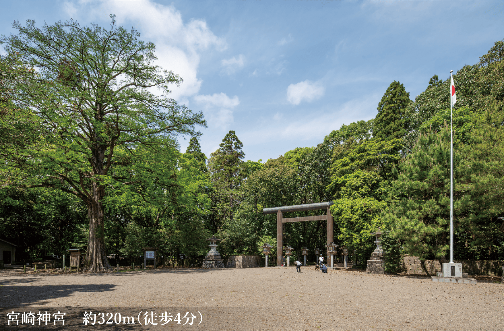 宮崎神宮　約320m（徒歩4分）