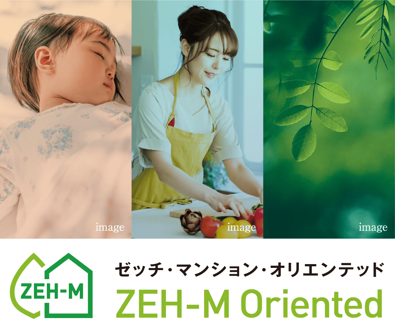 ZEH-M Oriented