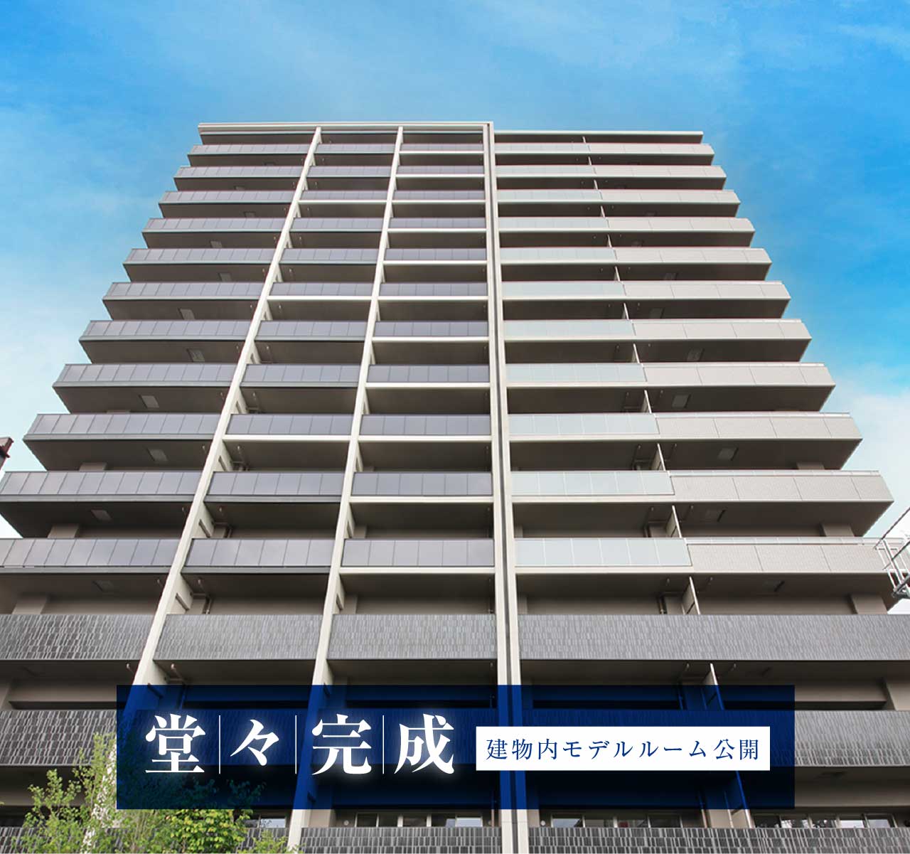 堂々完成