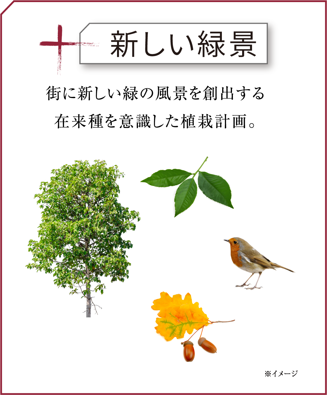 街に新しい緑の風景を創出する在来種を意識した植栽計画。