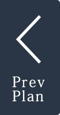 prev