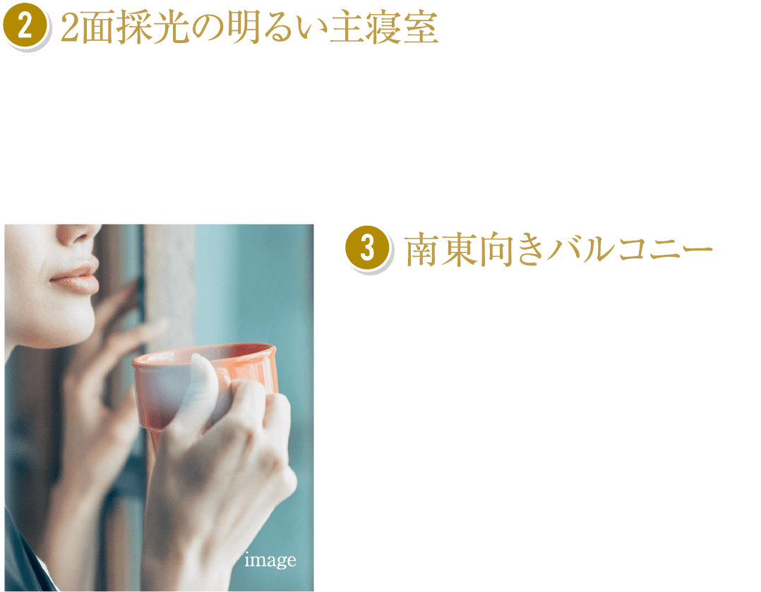 2面採光の明るい主寝室、南東向きバルコニー