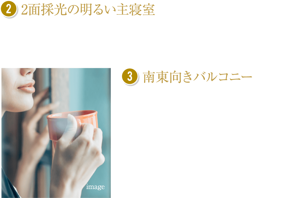 2面採光の明るい主寝室、南東向きバルコニー