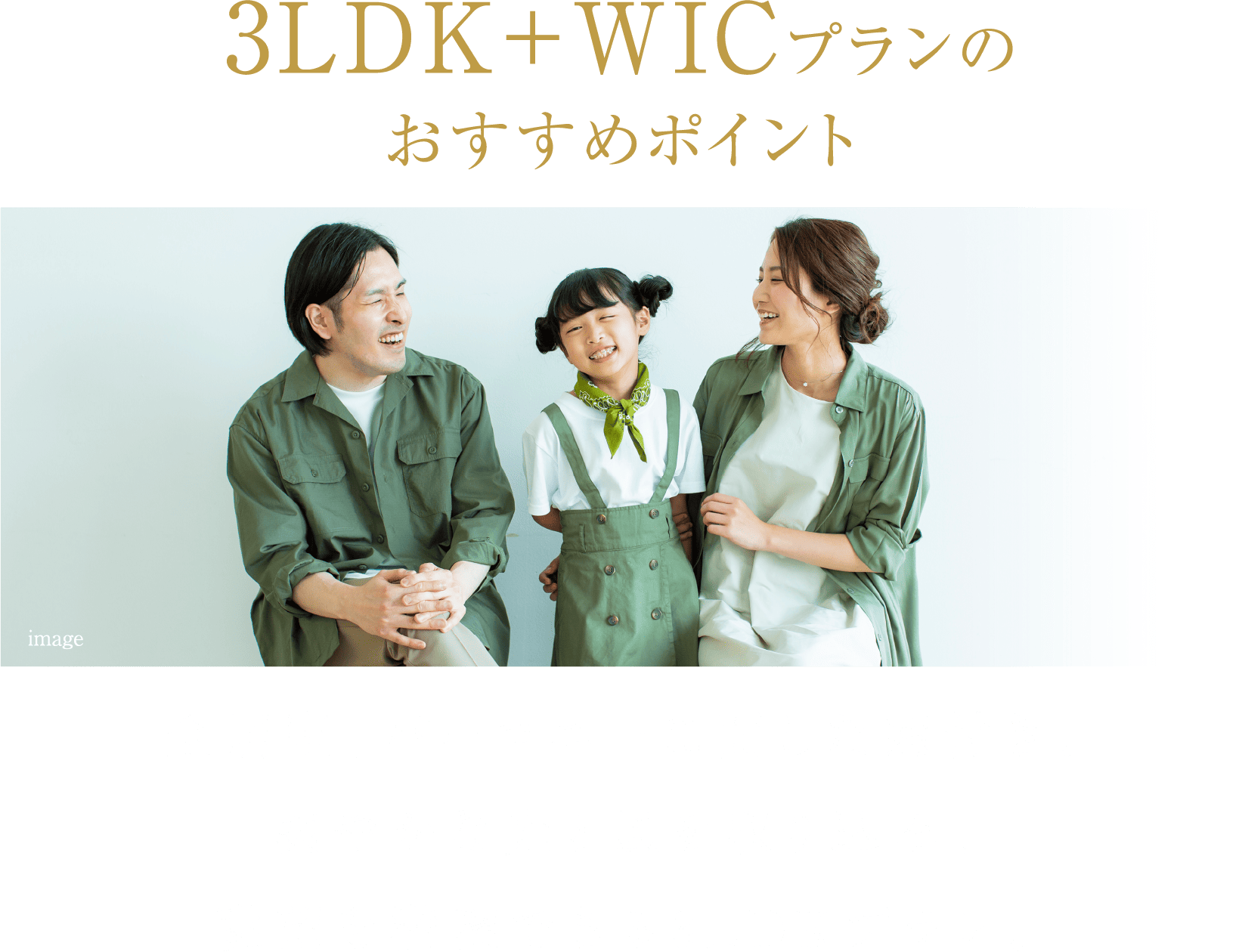 3LDK+WICプランのおすすめポイント