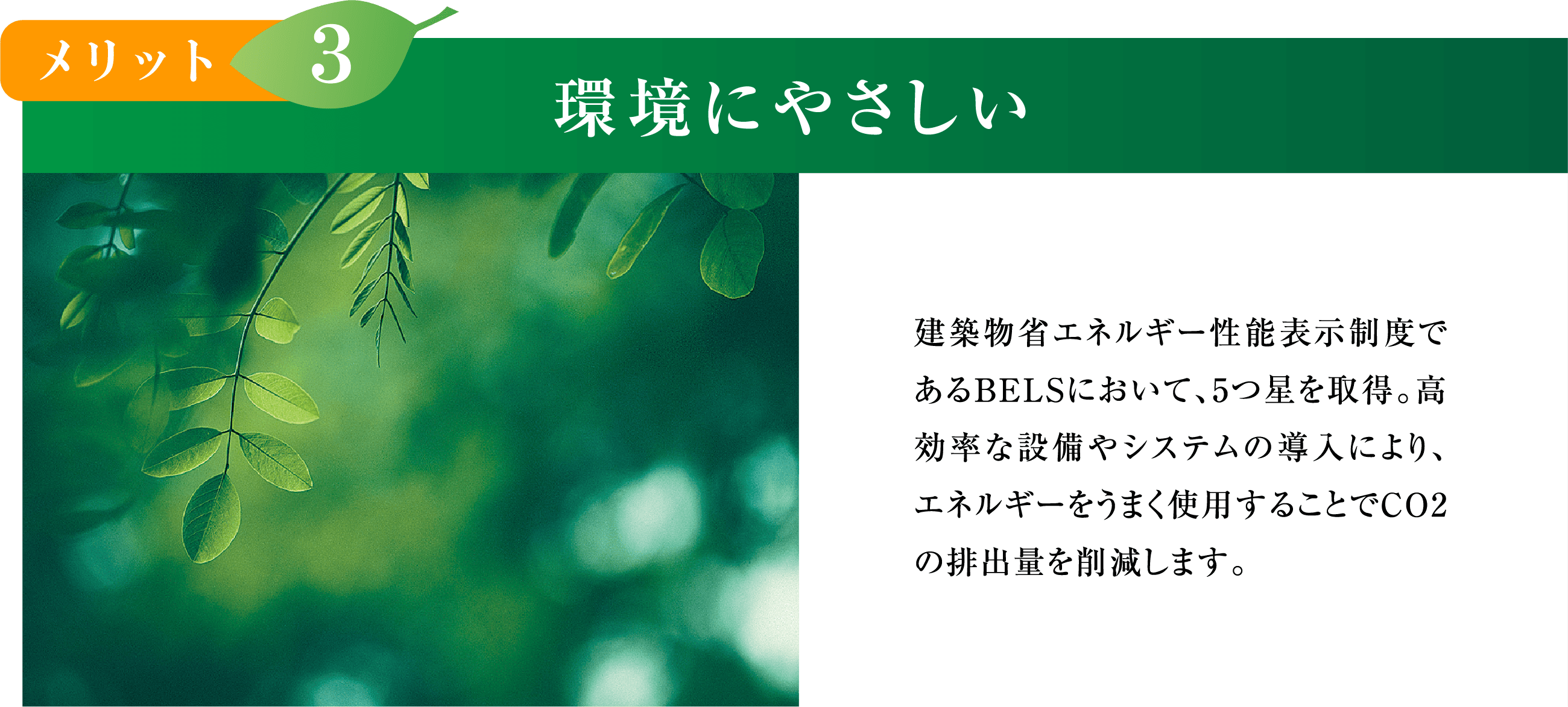 環境にやさしい