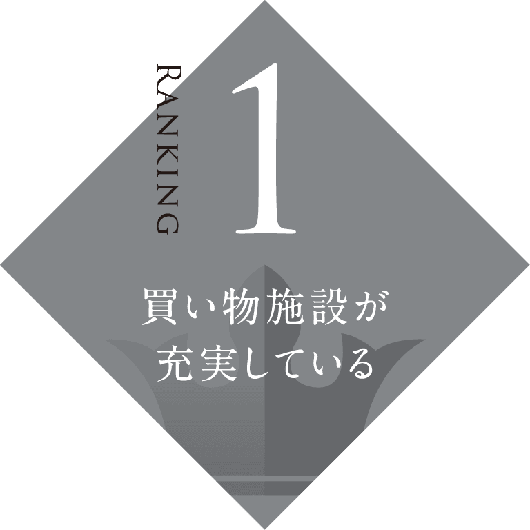 買い物施設が充実している