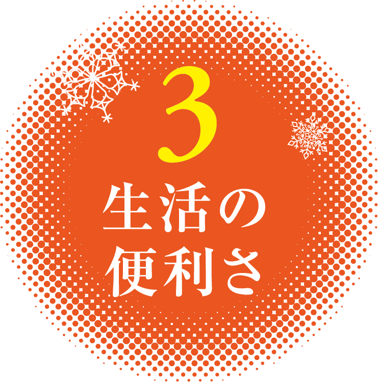 生活の便利さ