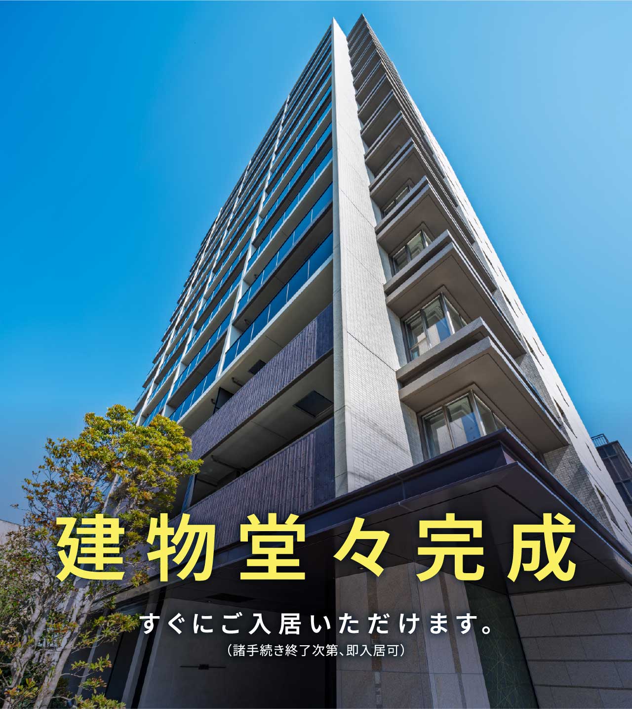 建物堂々完成