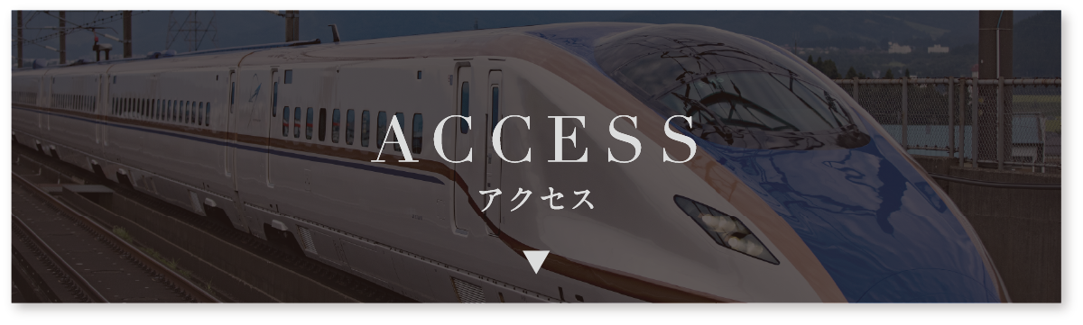ACCESS