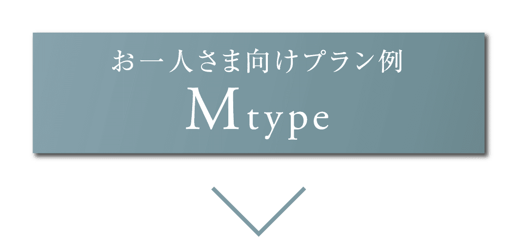 お一人さま向けプラン例 Mtype