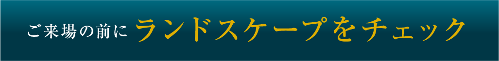 ランドスケープをチェック