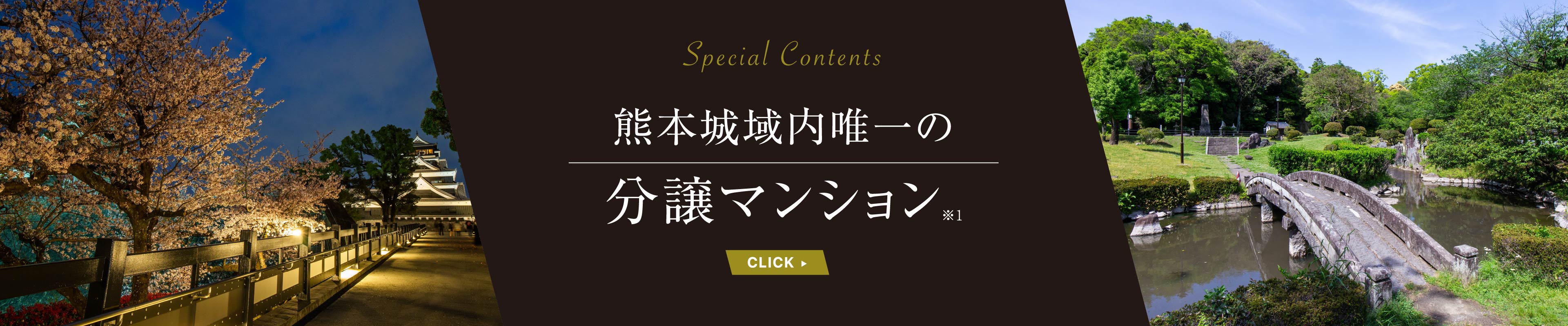 熊本城域内唯一の分譲マンション