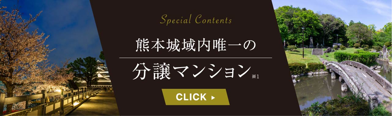 熊本城域内唯一の分譲マンション