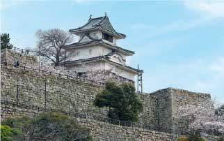丸亀城（亀山公園）