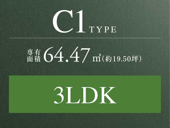 c1type