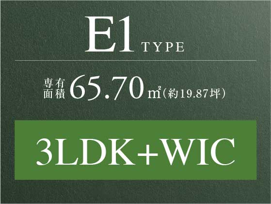 E1type