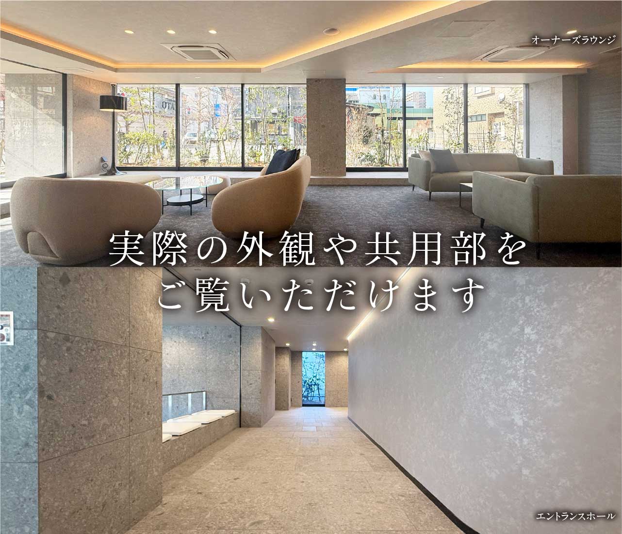 実際の外観や共用部をご覧いただけます
