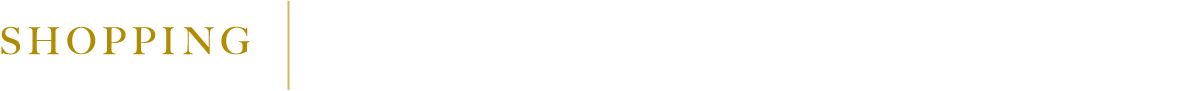 SHOPPING コンビニやスーパー、ドラッグストアなど便利な施設が身近にそろう、充実のショッピング環境。