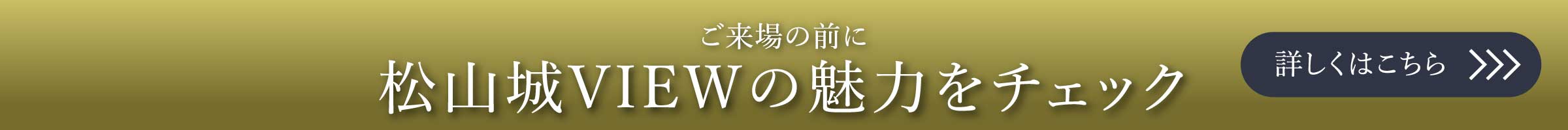 松山城VIEWの魅力をチェック