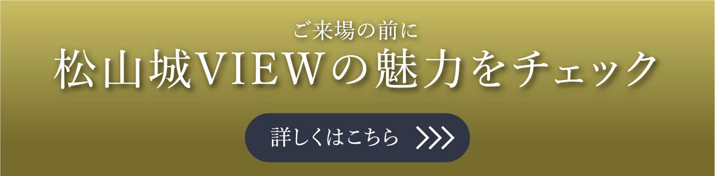 松山城VIEWの魅力をチェック