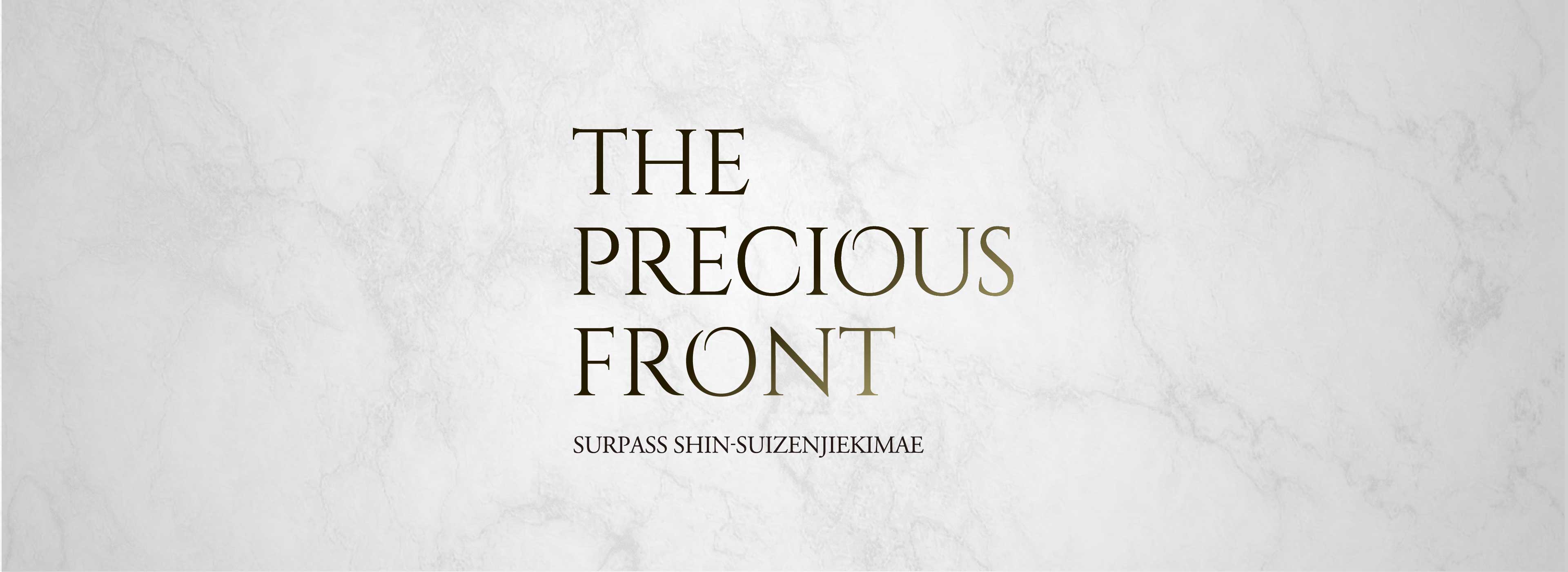THE PRECIOUS FRONT