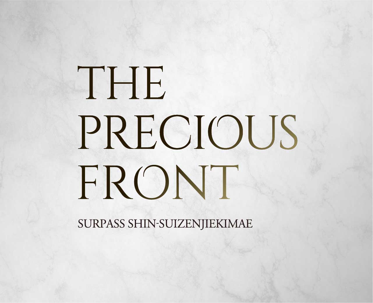 THE PRECIOUS FRONT