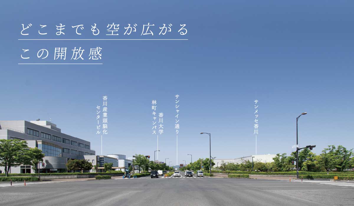 どこまでも空が広がるこの開放感