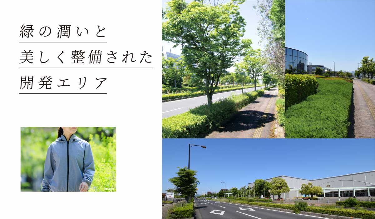 緑の潤いと美しく整備された開発エリア