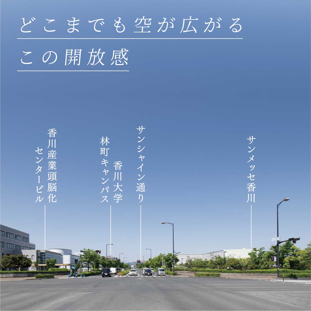 どこまでも空が広がるこの開放感