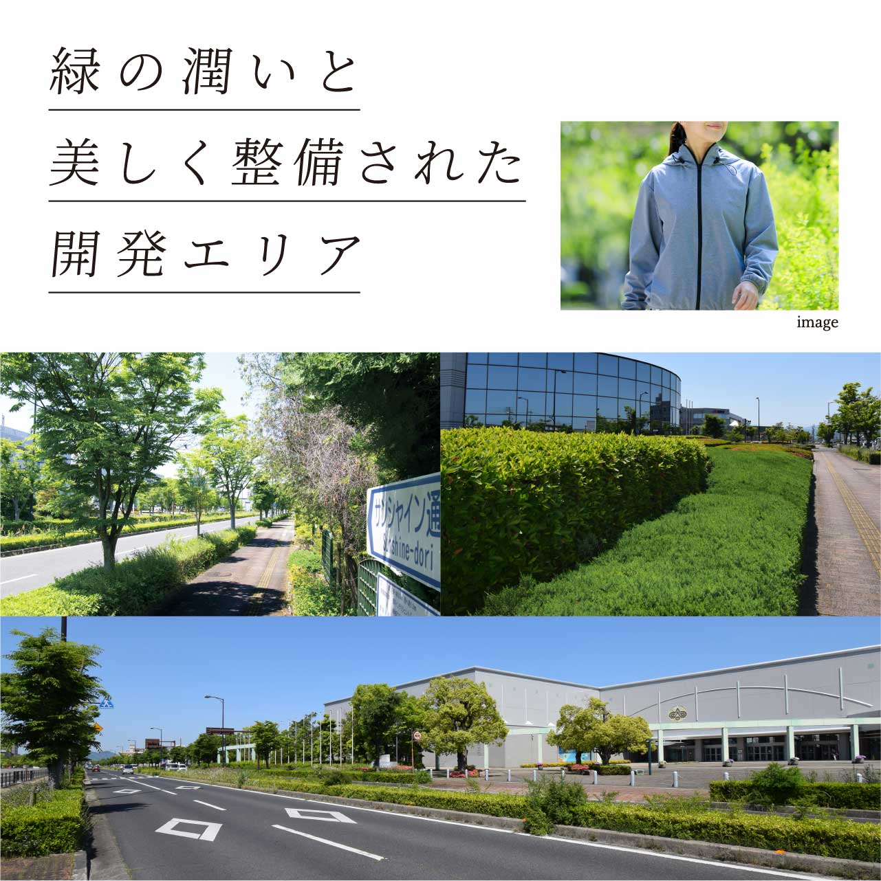 緑の潤いと美しく整備された開発エリア