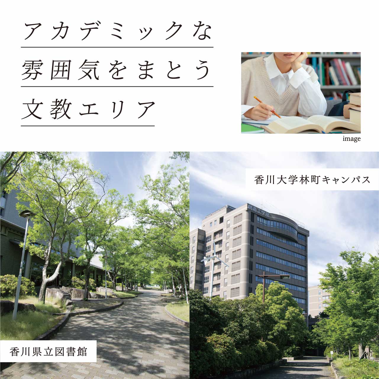 アカデミックな雰囲気をまとう文教エリア